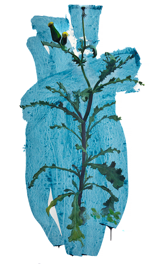 mauvaisesherbes-8W